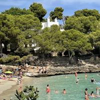 Playa d'Or 16 / Cala D'Or / Mallorca