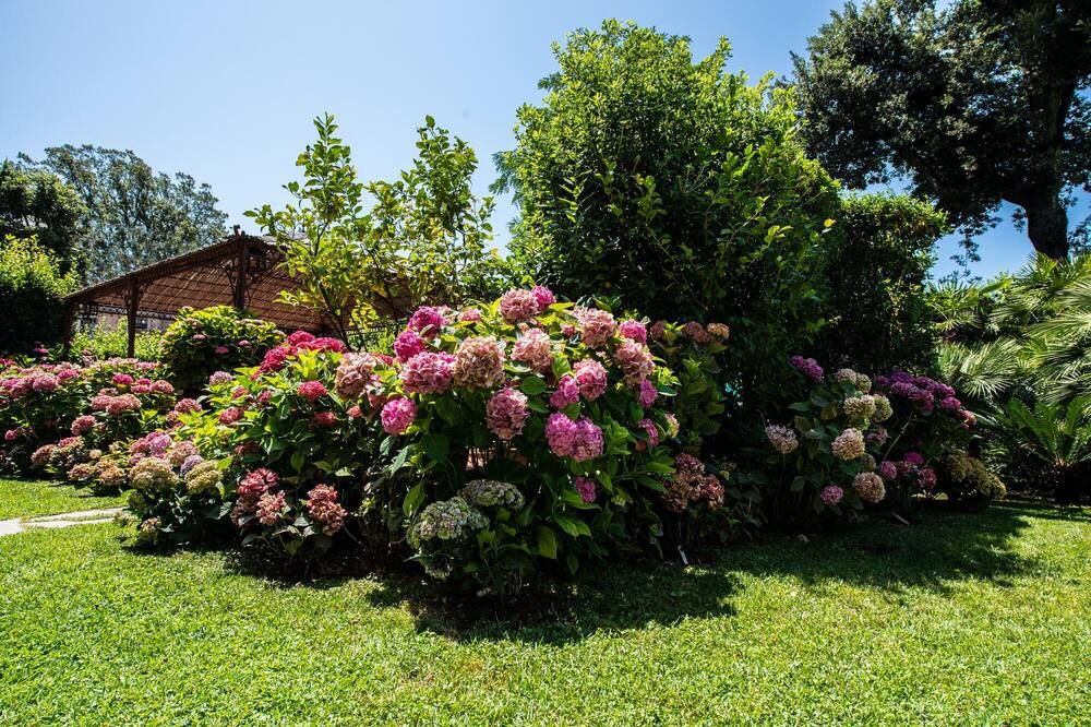 Outdoor view
