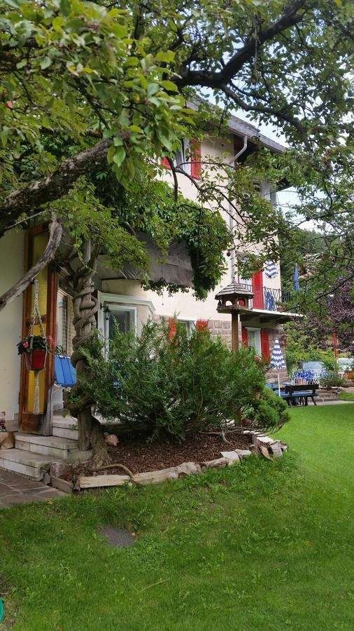 Outdoor view