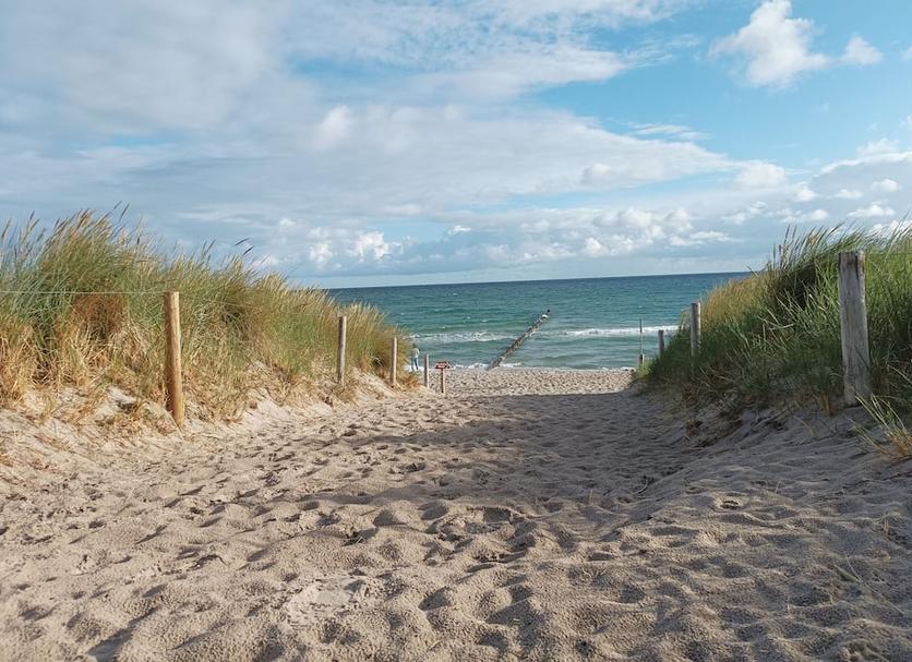 Beach Photo