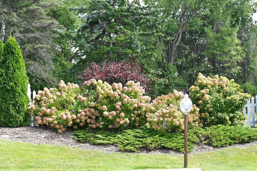 Outdoor view