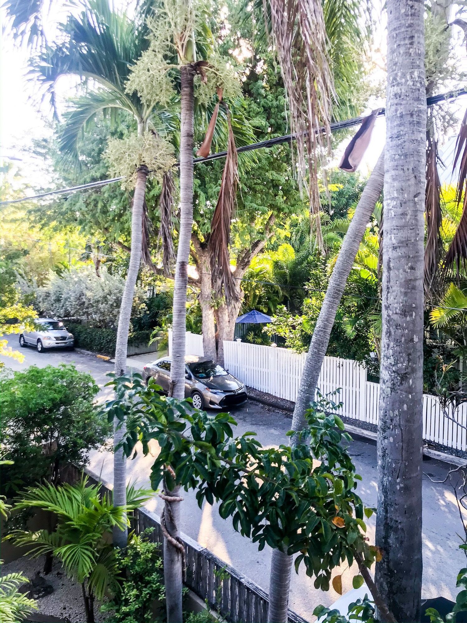 Outdoor view Photo
