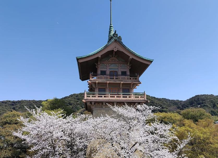 Other Photo