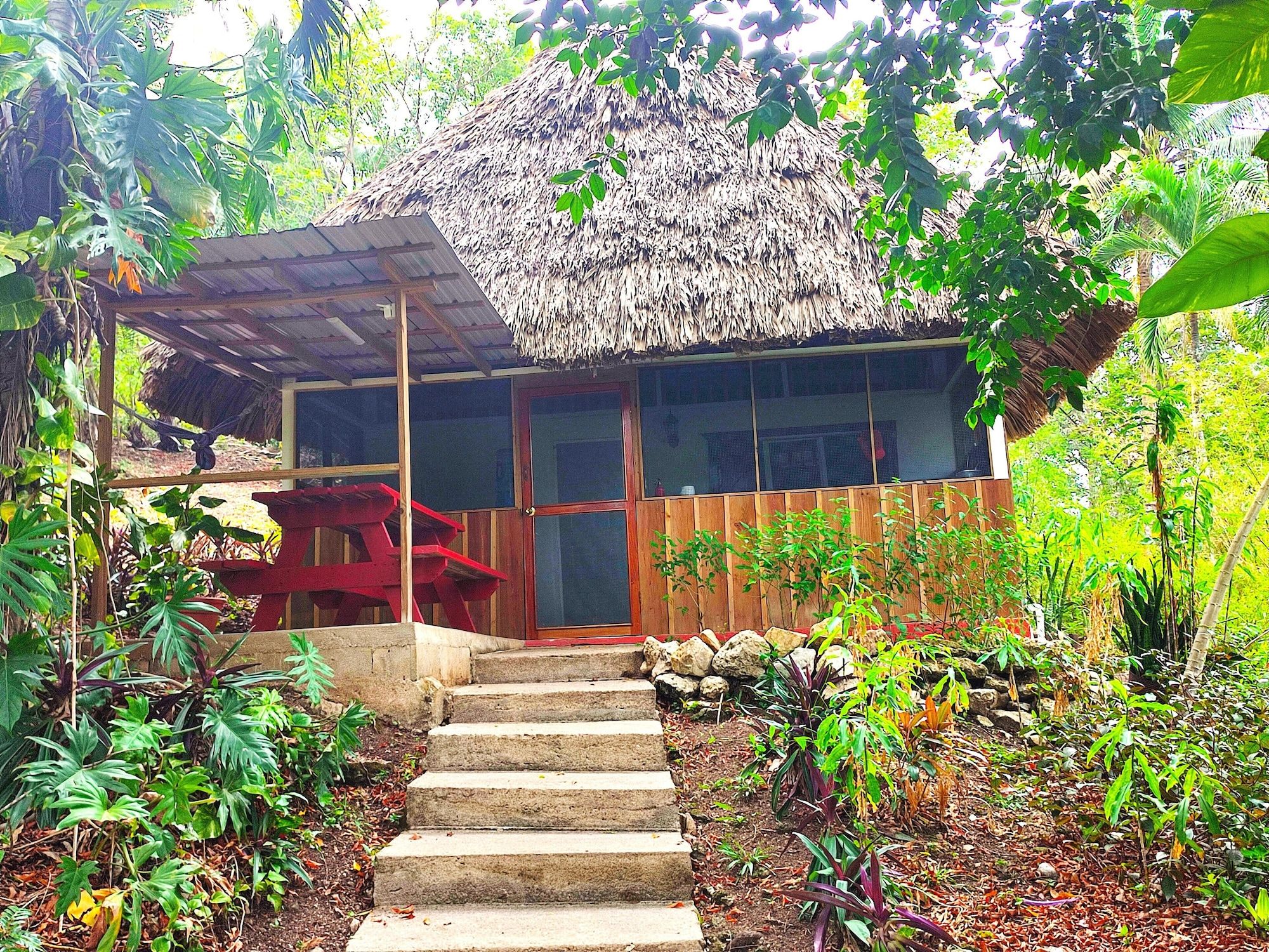 Outdoor view