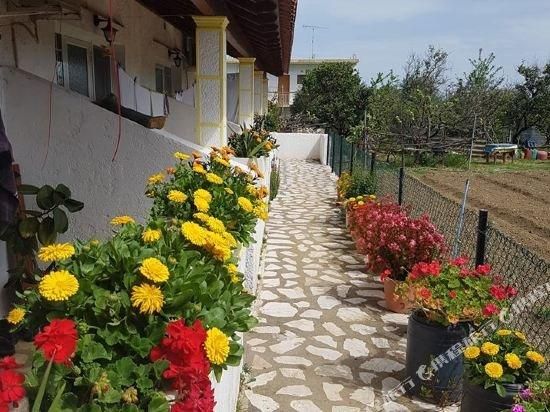 Outdoor view