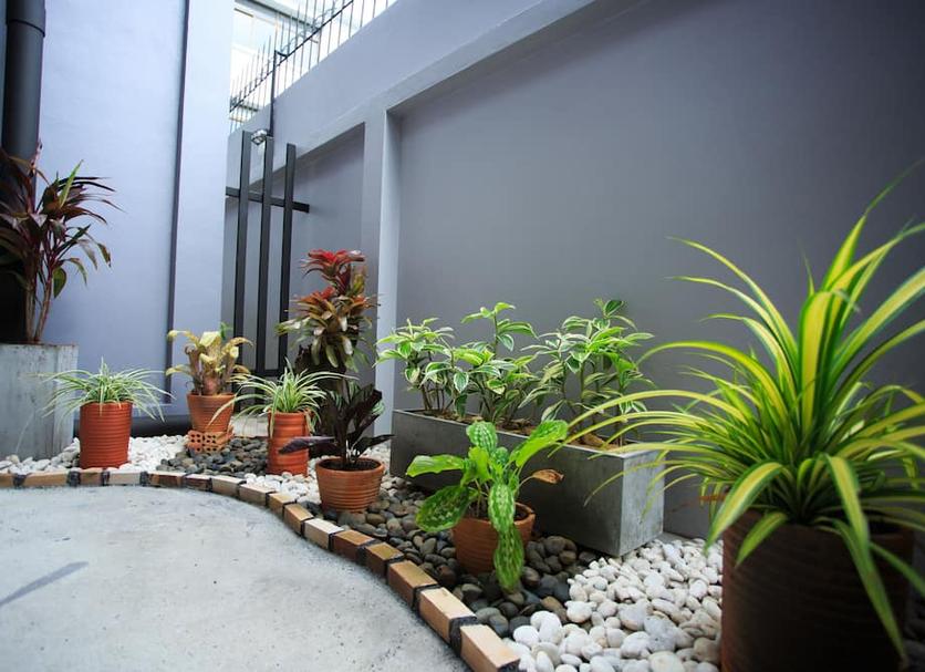Outdoor view Photo