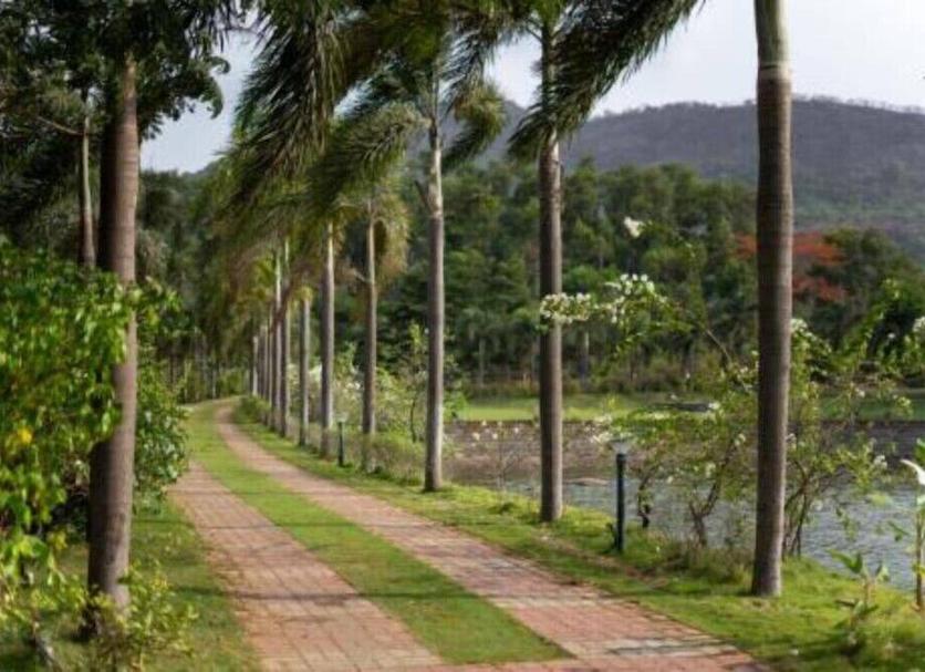 Outdoor view Photo