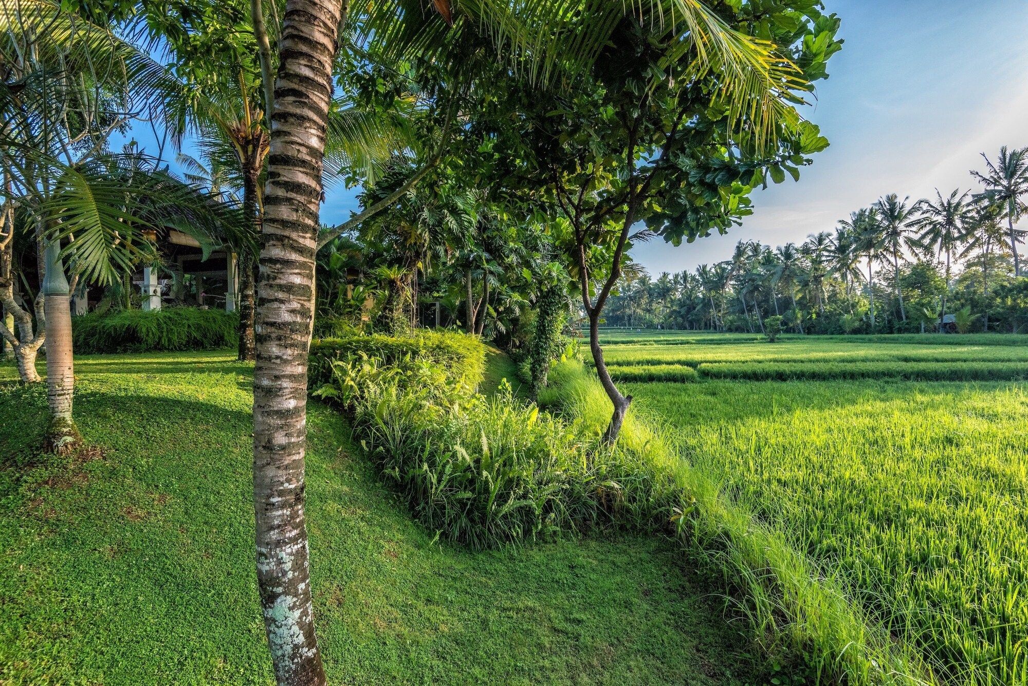 Outdoor view