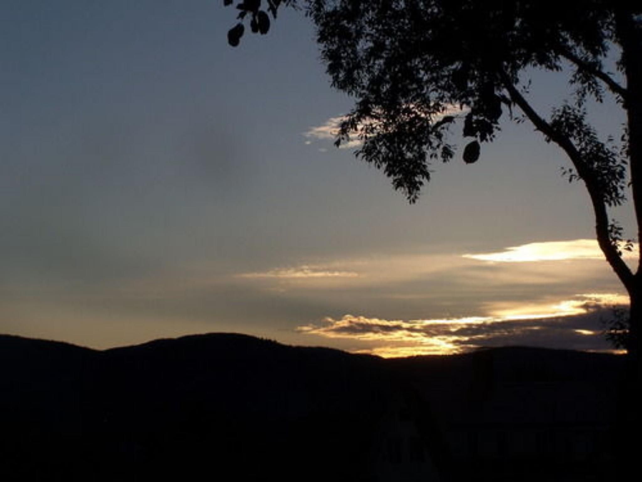 Outdoor view