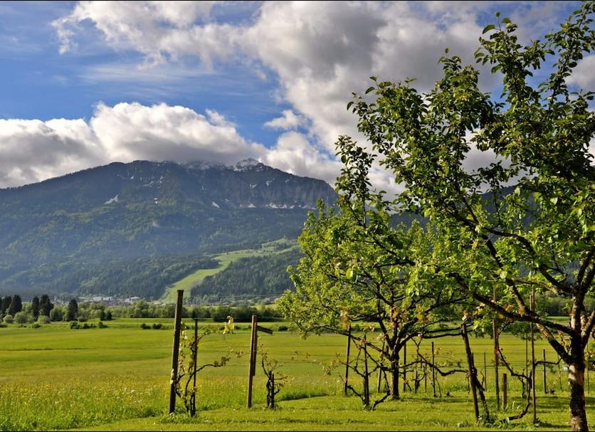 Outdoor view Photo