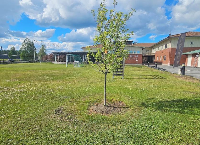 Outdoor view Photo