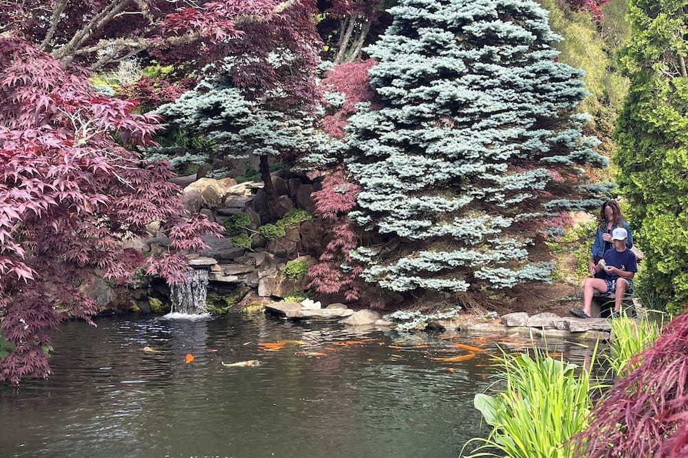 Outdoor view