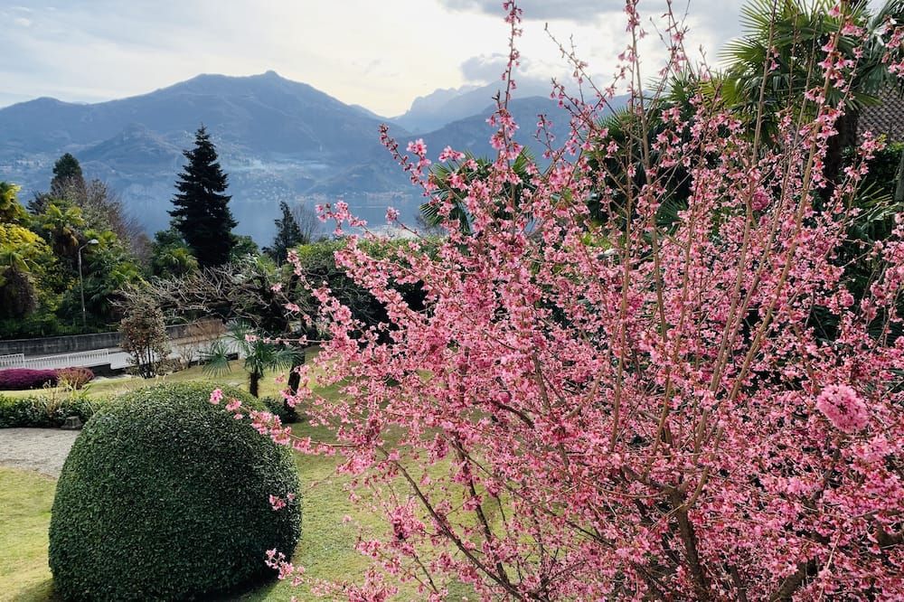 Outdoor view