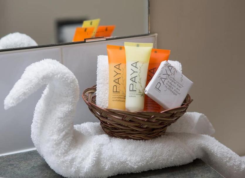Room amenity Photo