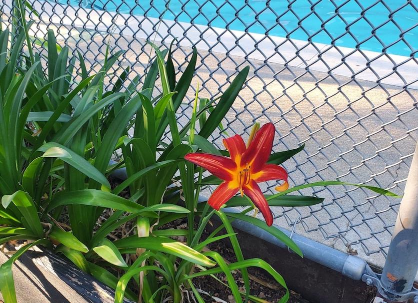 Outdoor view Photo