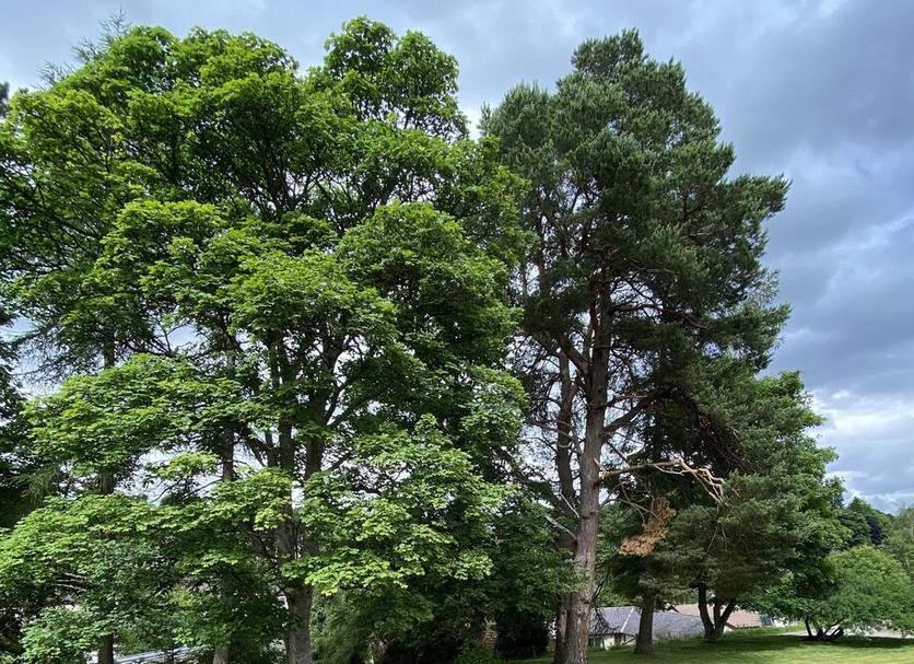 Outdoor view Photo