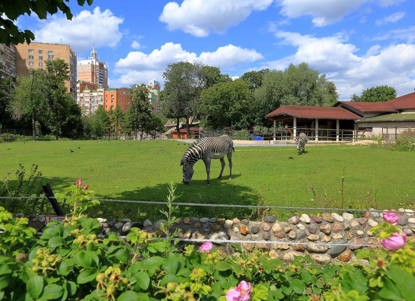 Outdoor view Photo