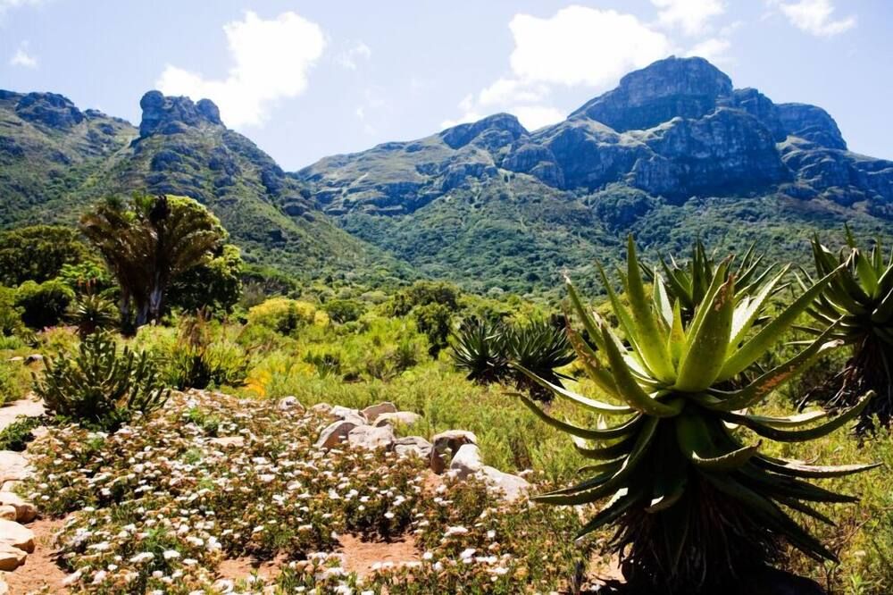 Outdoor view