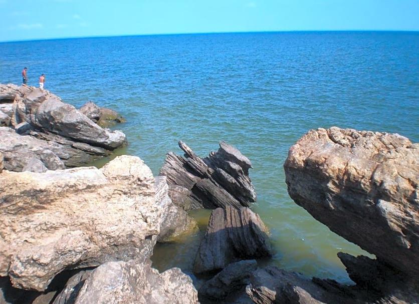 Other Photo