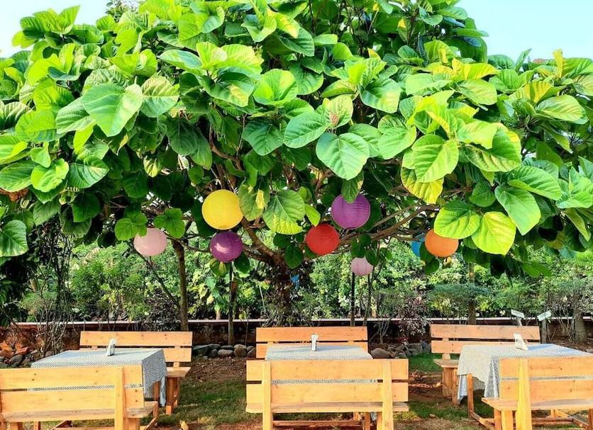 Outdoor view Photo