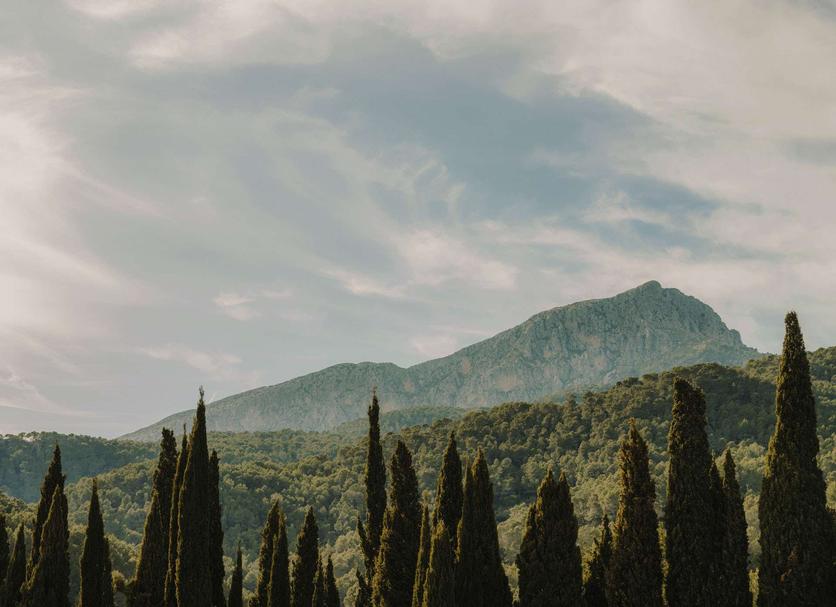 Outdoor view Photo