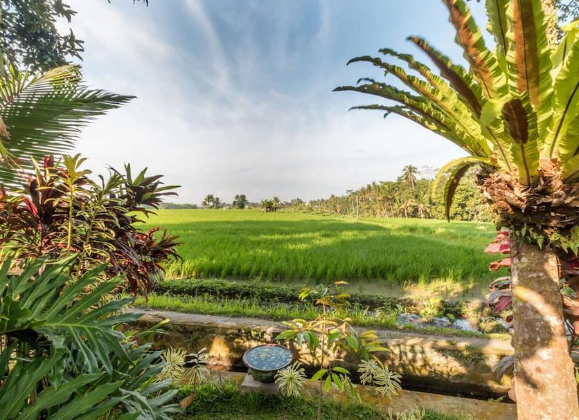 Outdoor view Photo