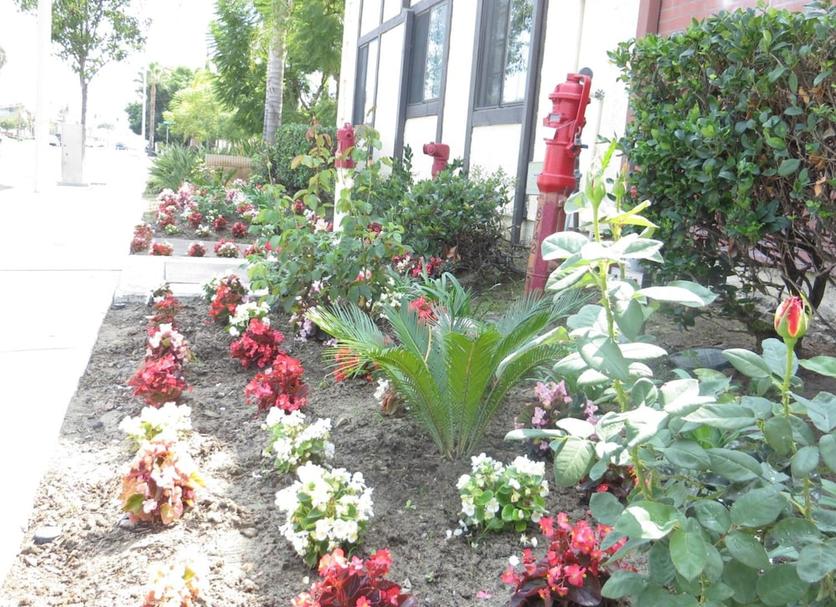 Outdoor view Photo