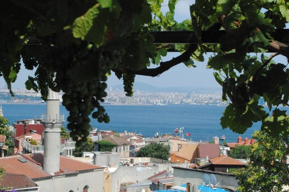 Outdoor view