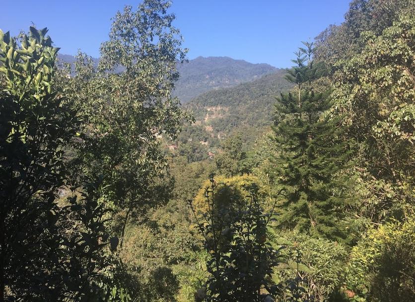 Outdoor view Photo
