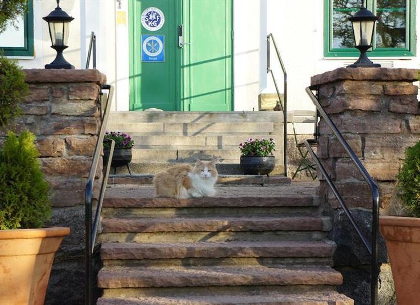 Stairs Photo