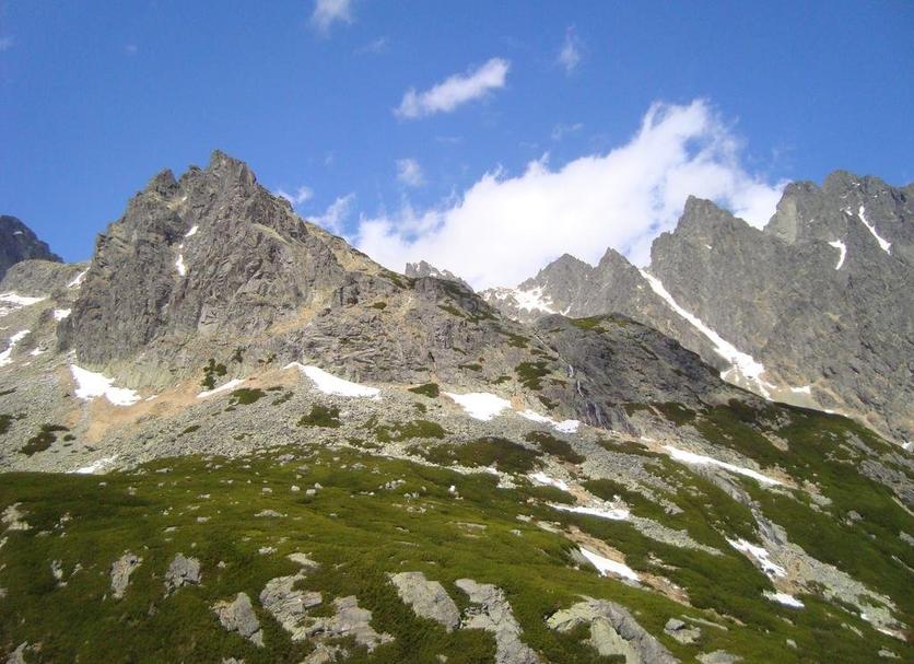 Other Photo