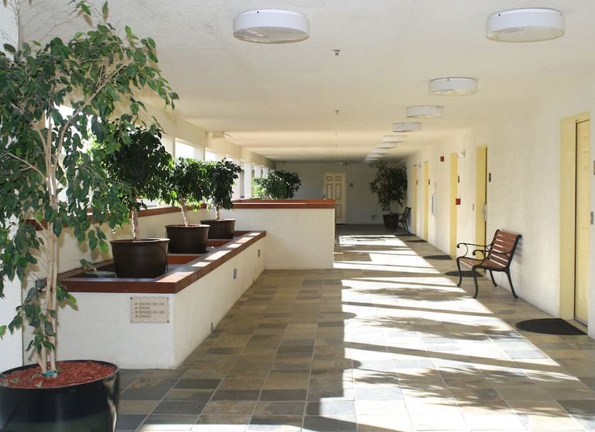 Decor Photo