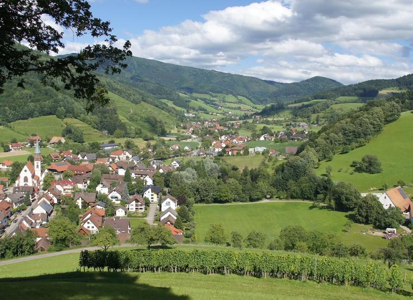 Outdoor view Photo