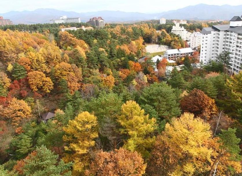 Outdoor view Photo
