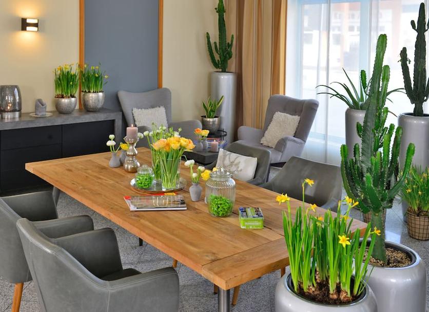 Dining room Photo