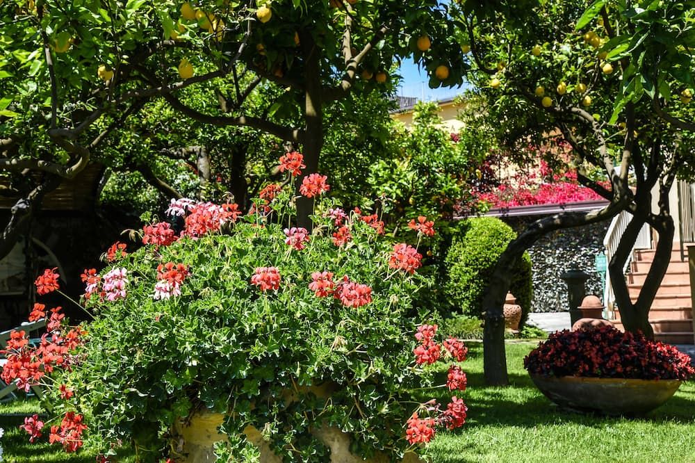 Outdoor view