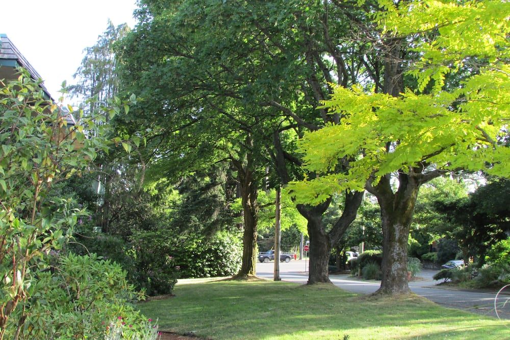 Outdoor view