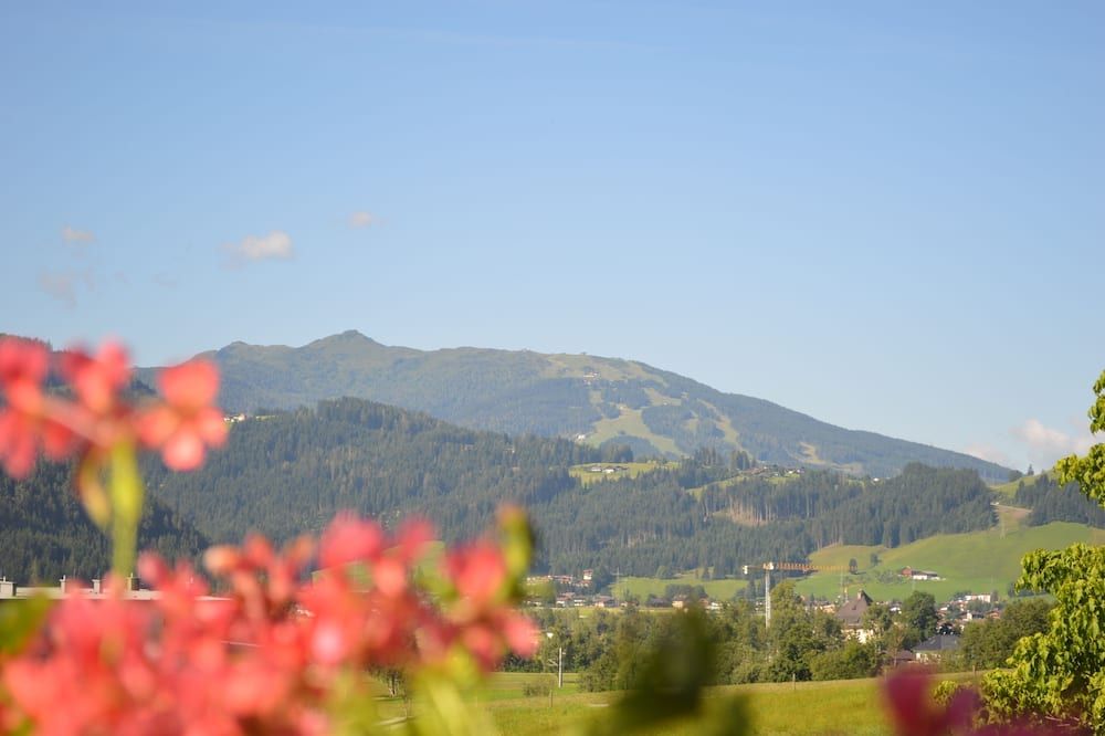 Outdoor view