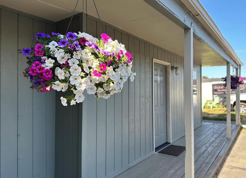 Outdoor view Photo