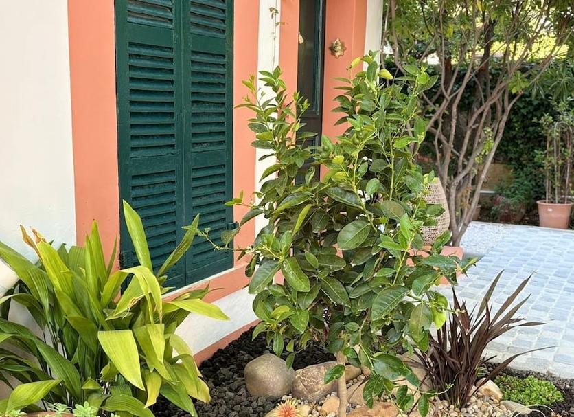 Outdoor view Photo