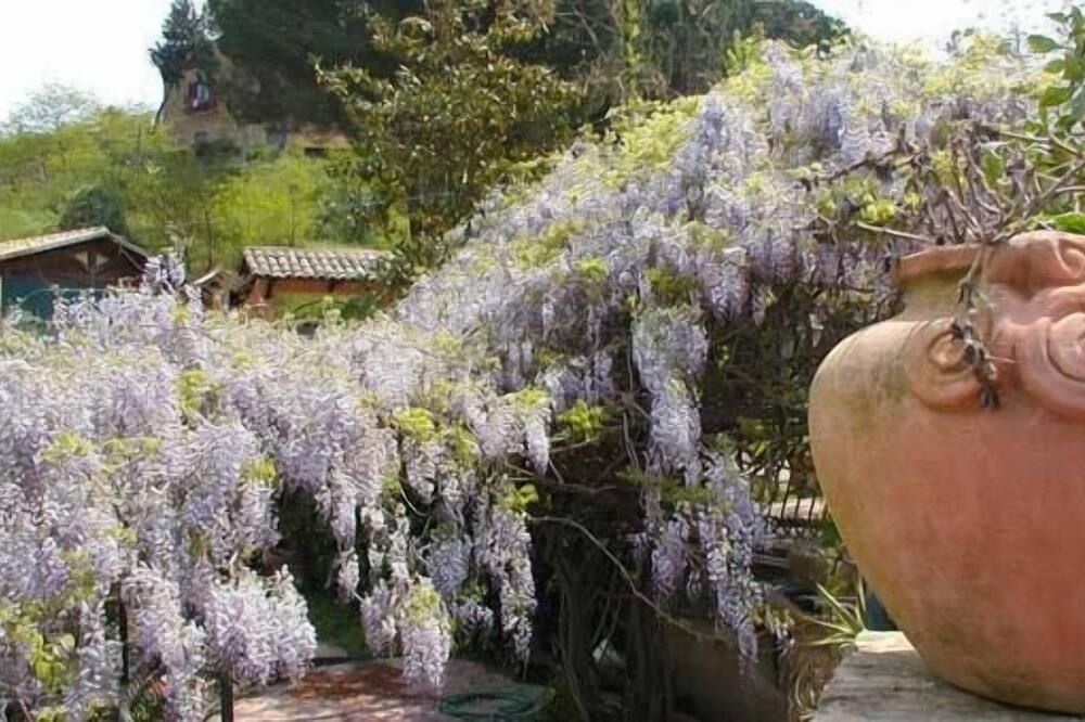 Outdoor view