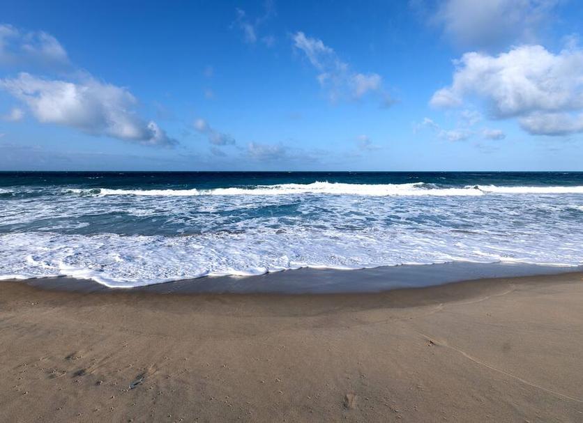 Beach Photo