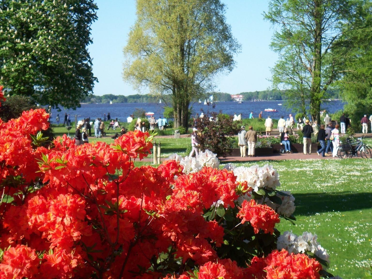 Outdoor view