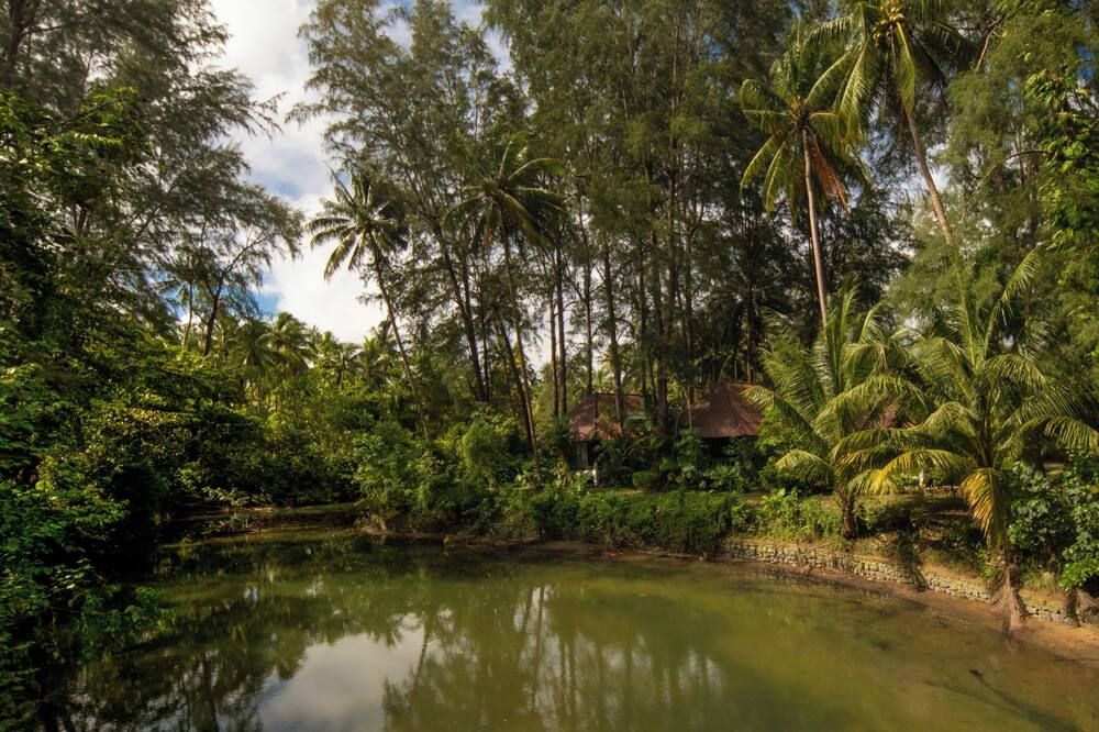 Outdoor view