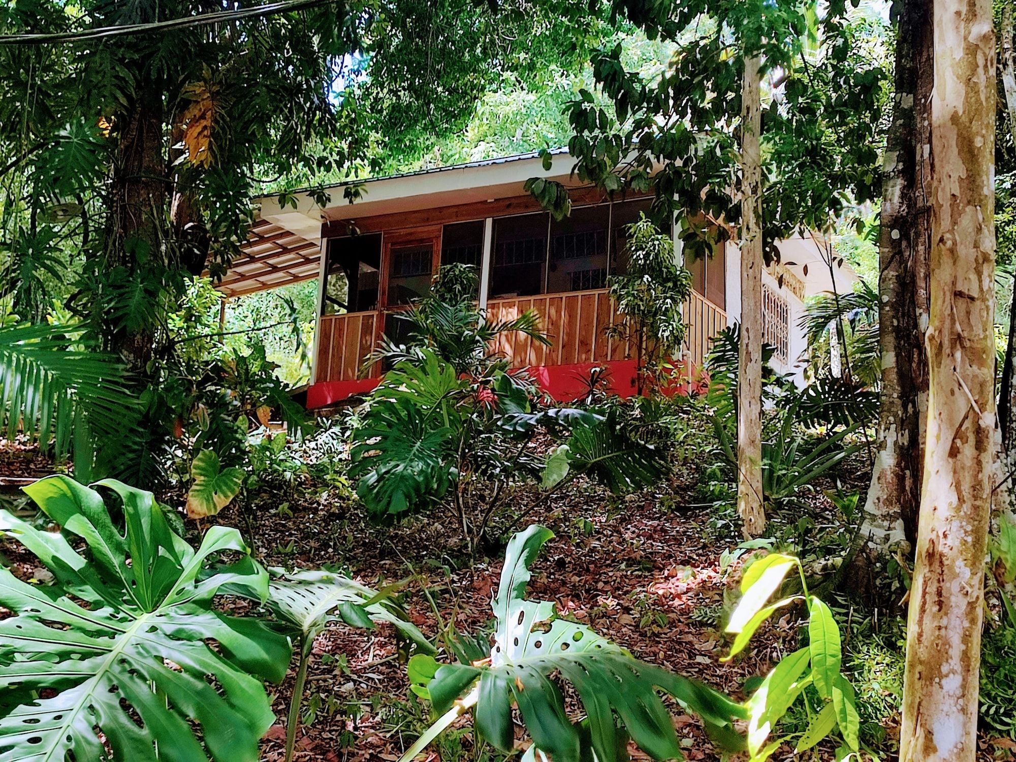 Outdoor view