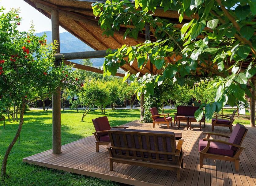 Patio Photo