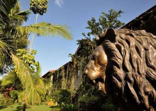 Hotel La Mada - Nairobi - Outdoor view