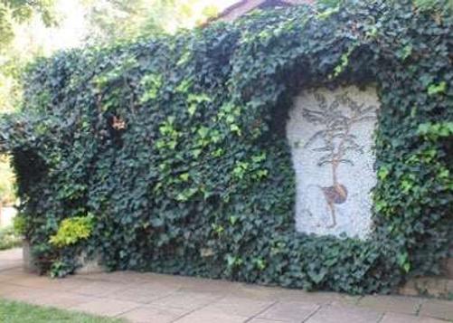 Hotel La Mada - Nairobi - Building