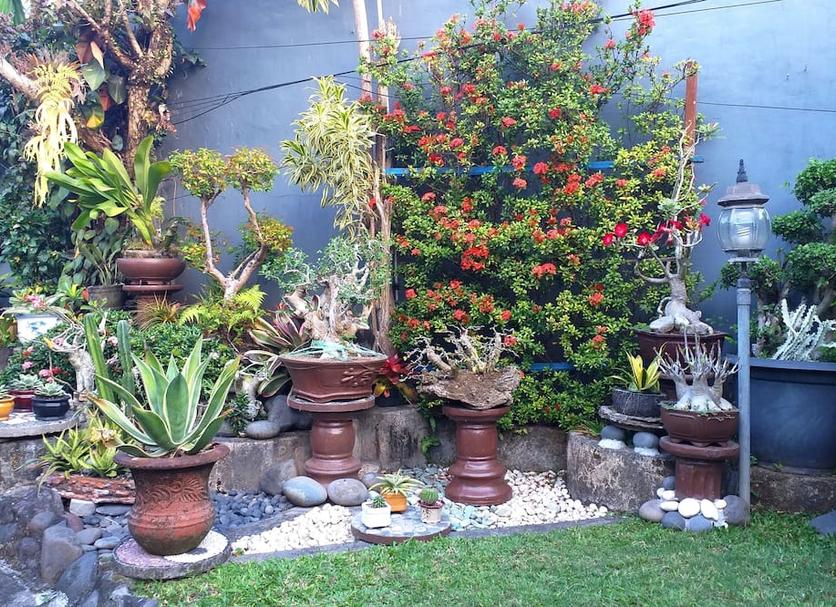 Outdoor view Photo