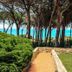 Outdoor view